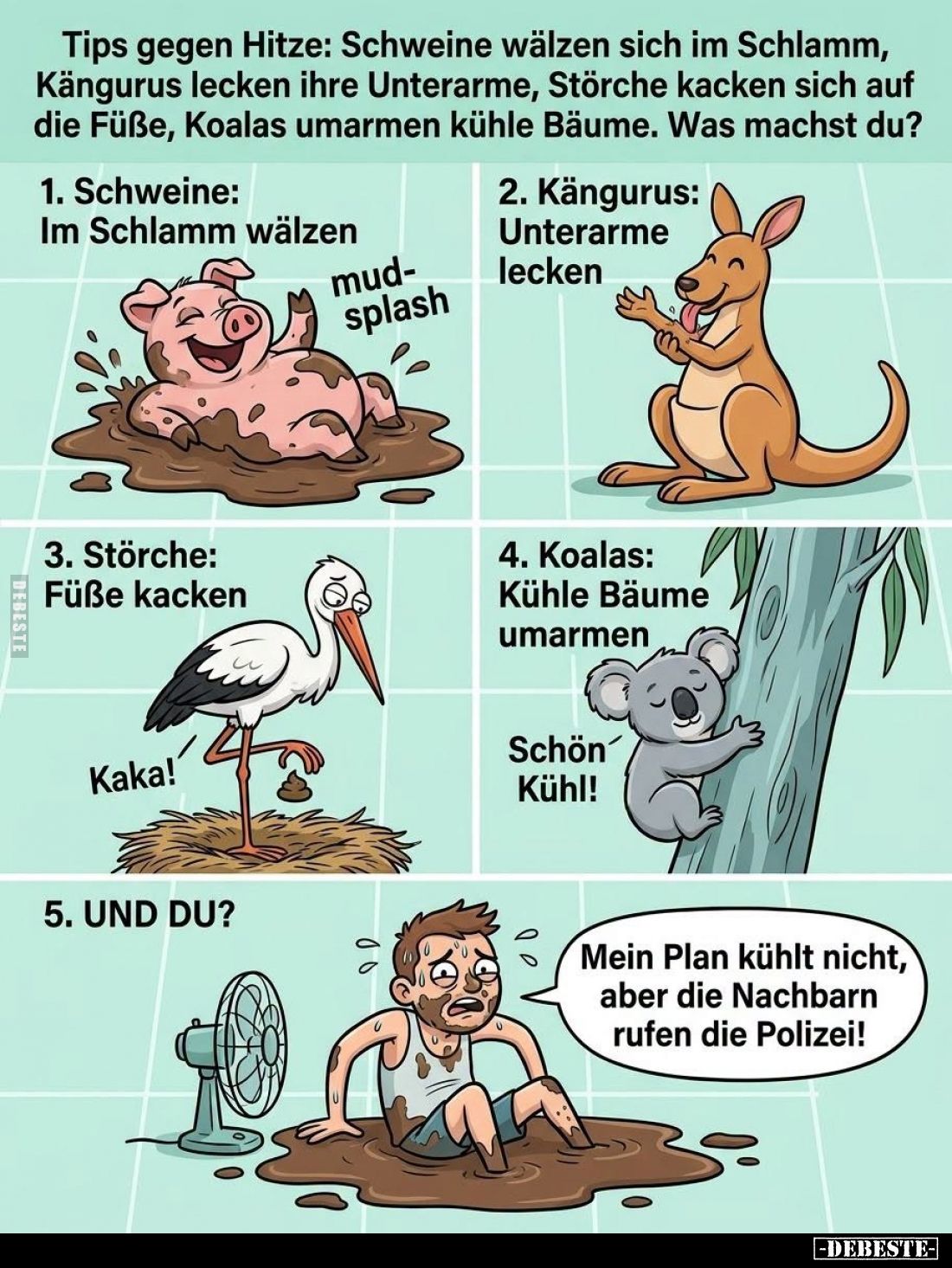 Tips gegen Hitze: Schweine wälzen sich im Schlamm,
Kängurus lecken ihre Unterarme, Störche kacken sich auf die Füße, Koalas ...