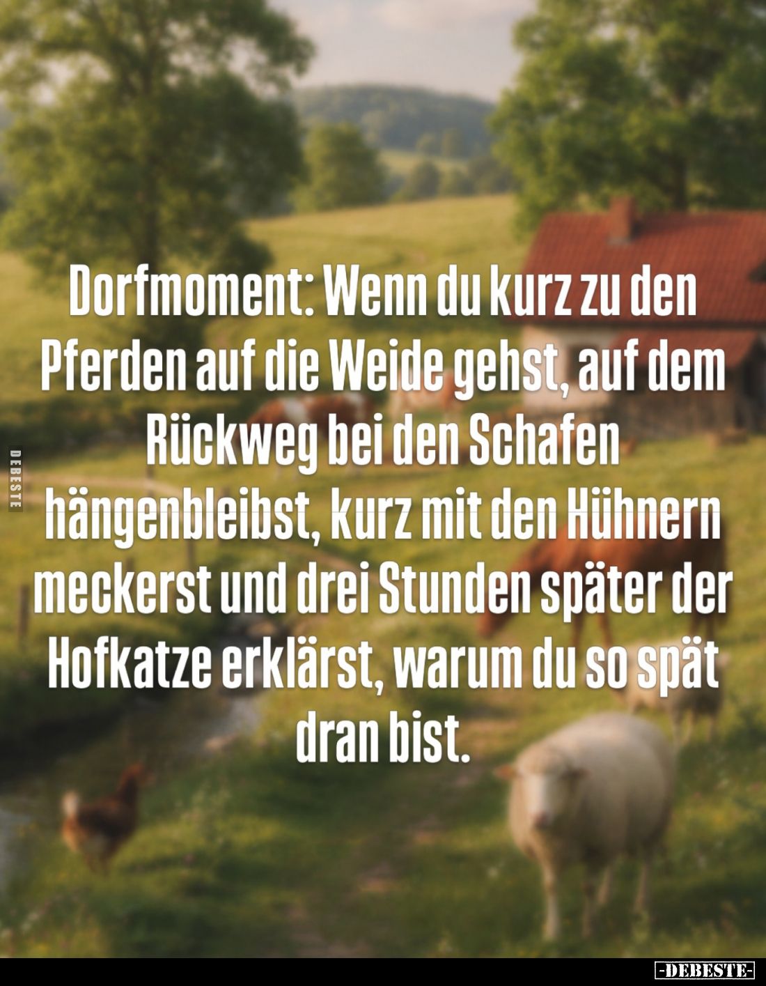 Dorfmoment: Wenn du kurz zu den
Pferden auf die Weide gehst, auf dem Rückweg bei den Schafen hängenbleibst, kurz mit den Hüh...