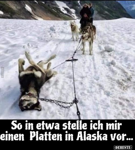 So in etwa stelle ich mir einen Platten in Alaska.. - Lustige Bilder | DEBESTE.de