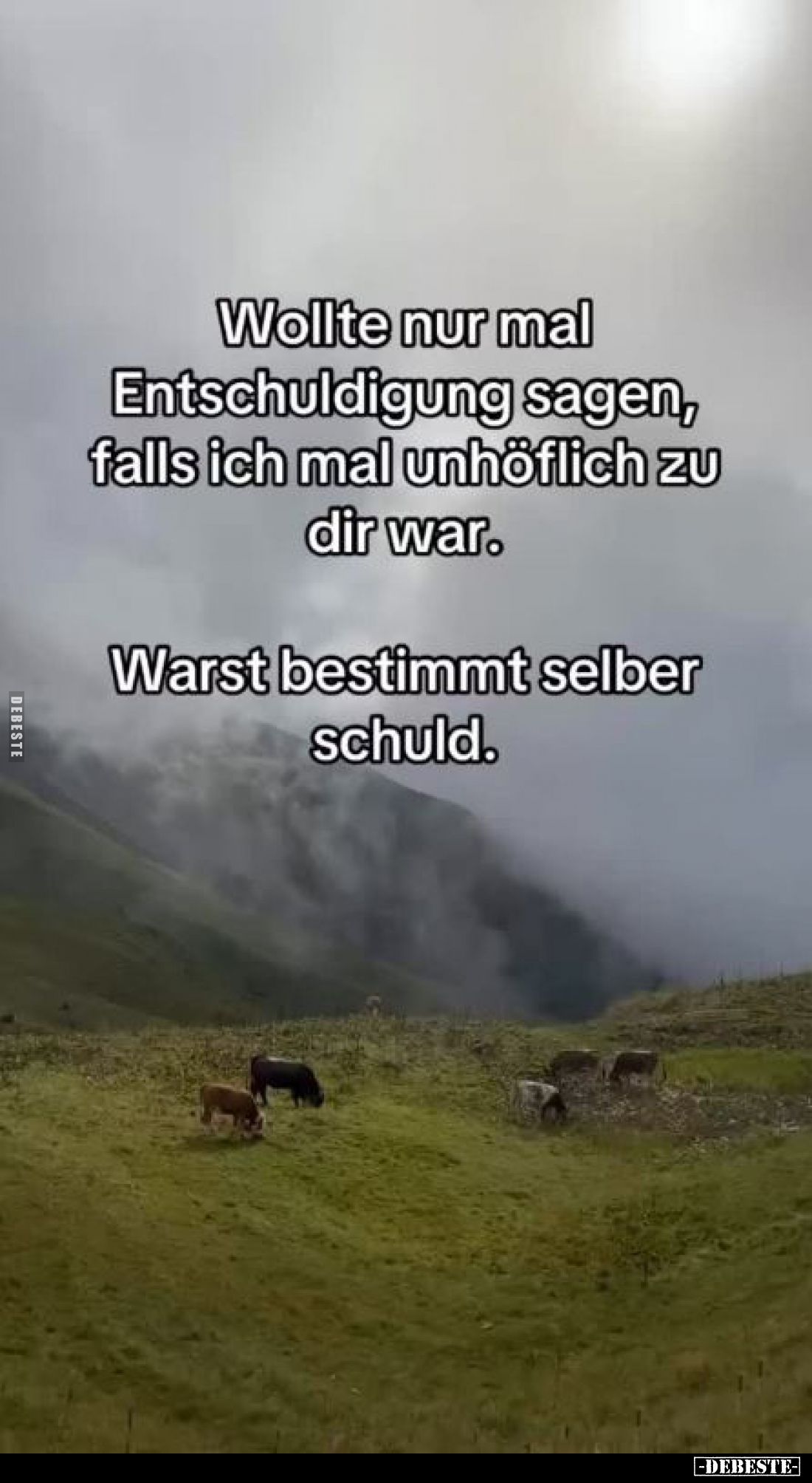 Wollte nur mal Entschuldigung sagen, falls ich mal unhöflich zu dir war.
Warst bestimmt selber schuld.