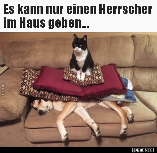 Es kann nur einen Herrscher im Haus geben...