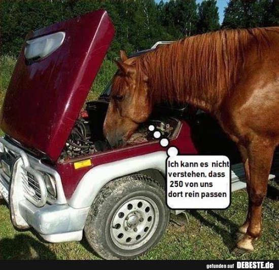 Ich kann es nicht verstehen, dass 250 von uns dort rein passen..