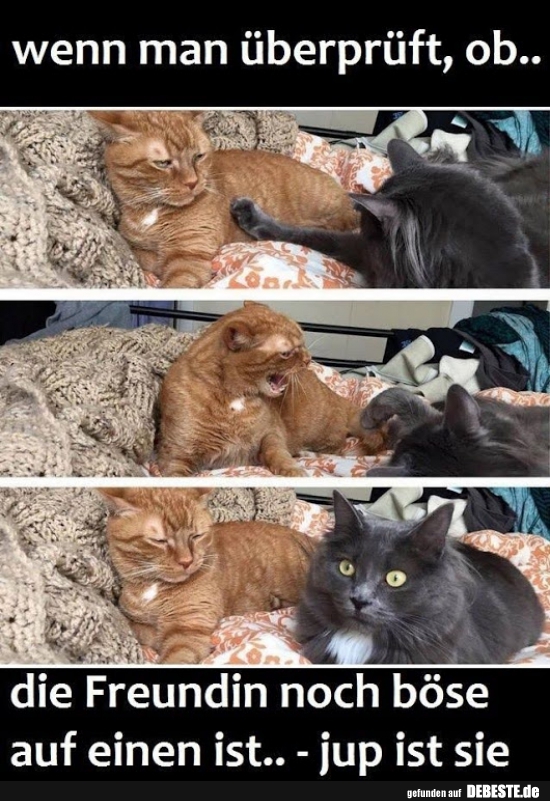 Wenn man überprüft, ob..