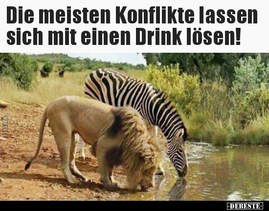 Die meisten Konflikte lassen sich mit einen Drink.. - Lustige Bilder | DEBESTE.de
