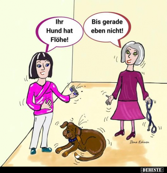 Ihr Hund hat Flöhe!.. - Lustige Bilder | DEBESTE.de