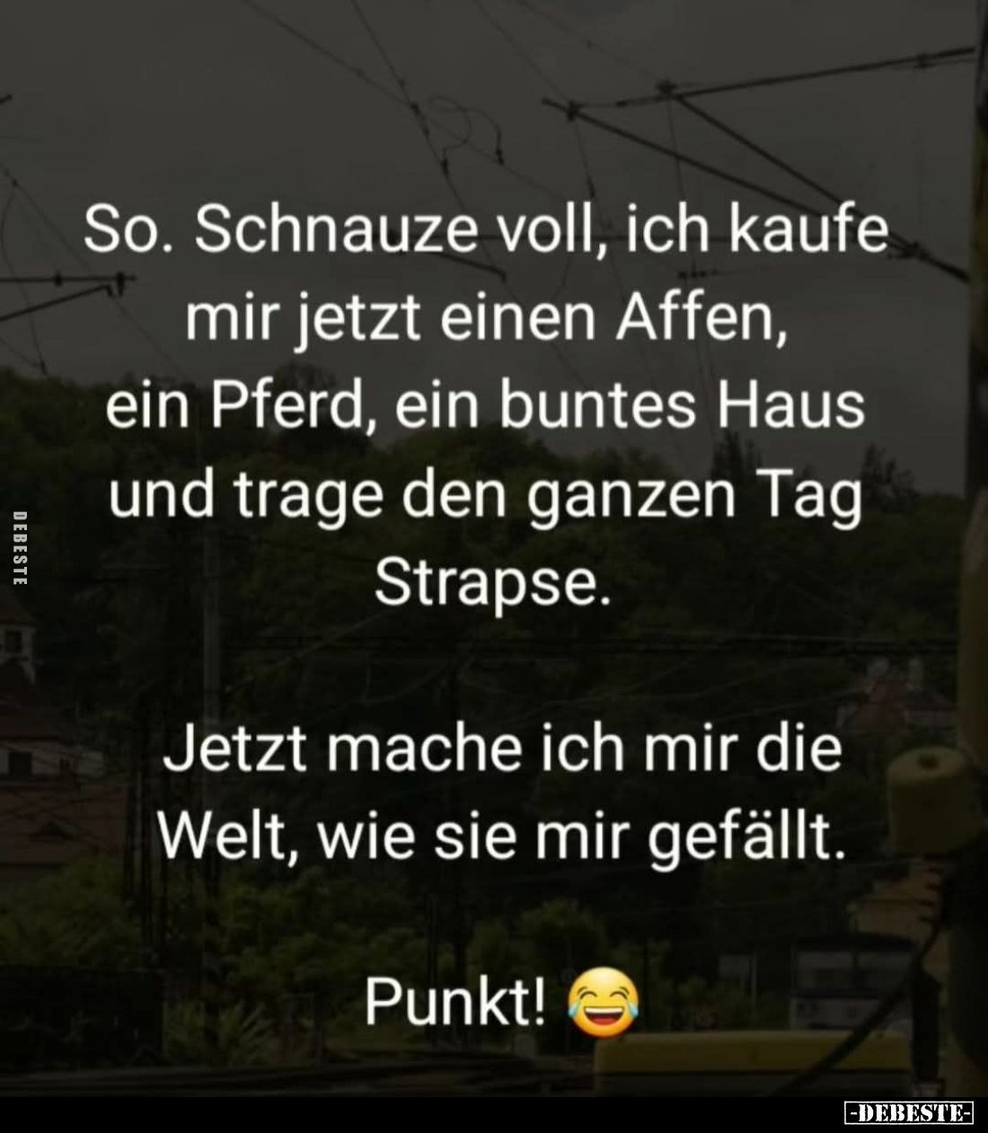 So. Schnauze voll, ich kaufe mir jetzt einen Affen, ein Pferd, ein buntes Haus und trage den ganzen Tag Strapse.
Jetzt mache...