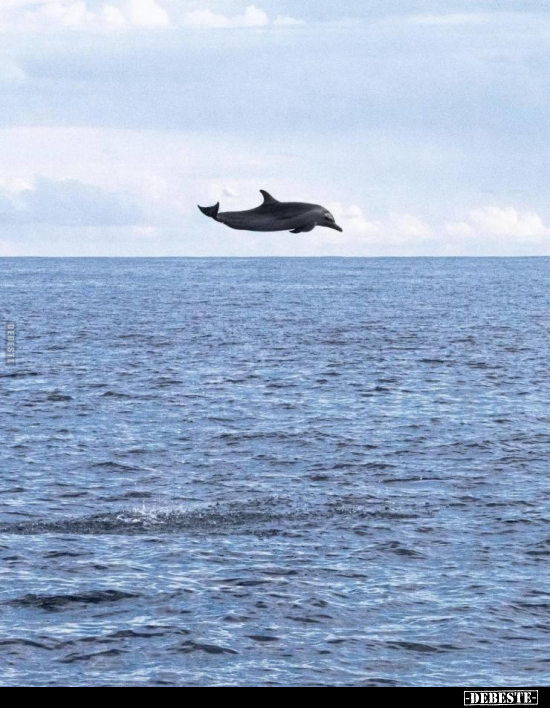  - Lustige Bilder | DEBESTE.de