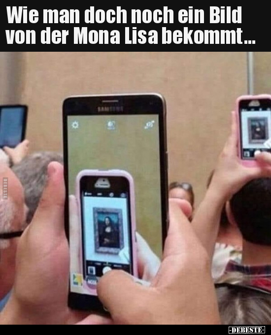 Wie man doch noch ein Bild von der Mona Lisa bekommt... - Lustige Bilder | DEBESTE.de
