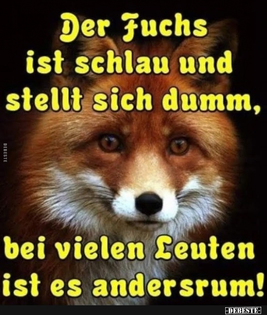 Der Fuchs ist schlau und stellt sich dumm.. - Lustige Bilder | DEBESTE.de