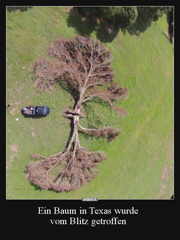 Ein Baum in Texas wurde vom Blitz getroffen.. - Lustige Bilder | DEBESTE.de