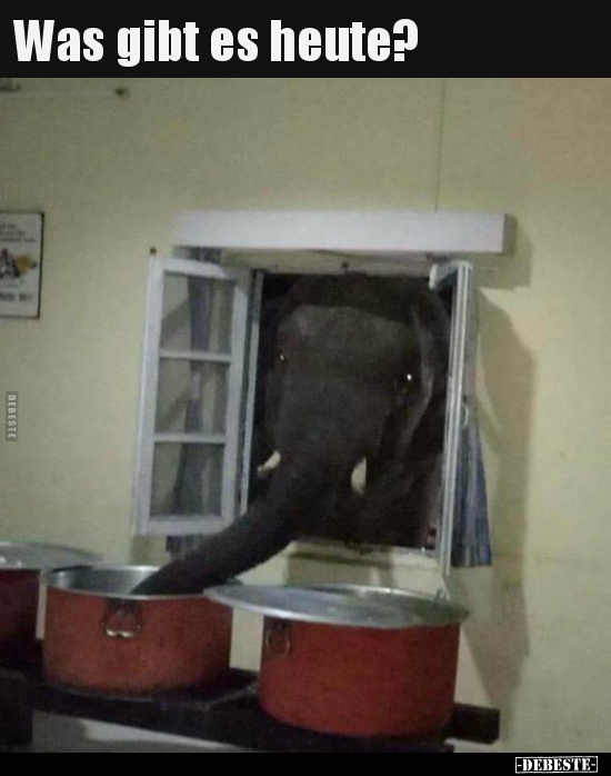 Was gibt es heute?..