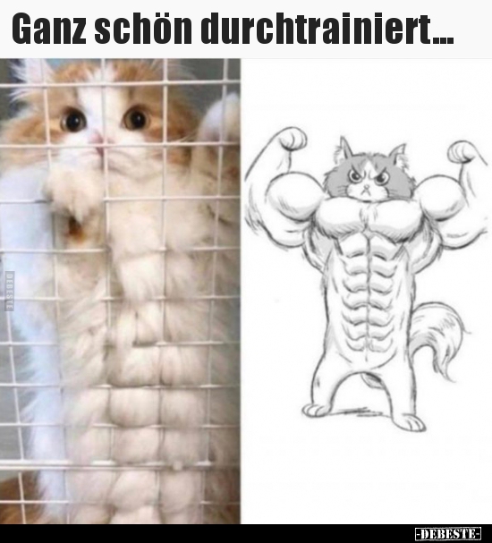 Ganz schön durchtrainiert...