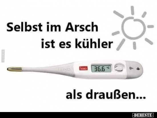 Selbst im Arsch ist es kühler als draußen... - Lustige Bilder | DEBESTE.de