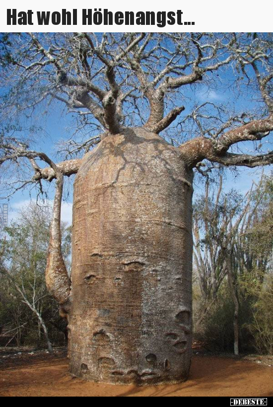 Hat wohl Höhenangst...