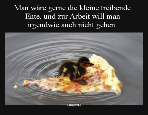 Man wäre gerne die kleine treibende Ente, und zur Arbeit.. - Lustige Bilder | DEBESTE.de