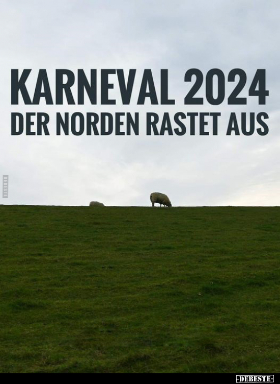 Karneval 2024.. - Lustige Bilder | DEBESTE.de