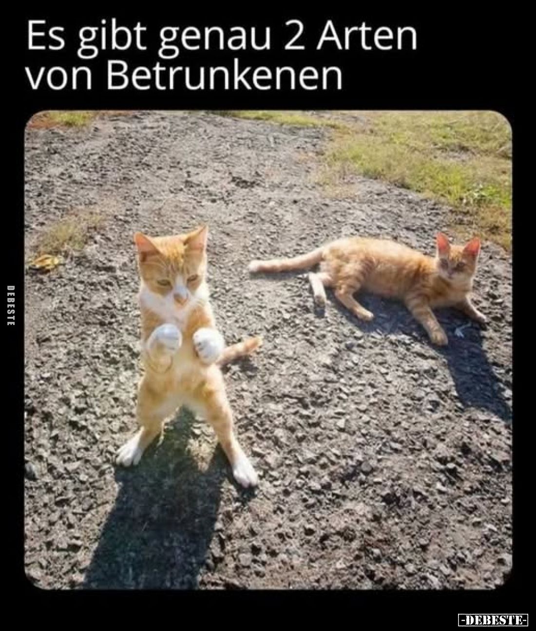 Es gibt genau 2 Arten von Betrunkenen.