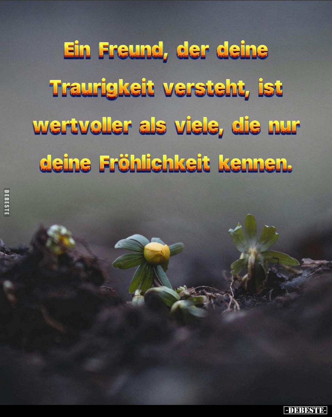 Ein Freund, der deine Traurigkeit versteht, ist wertvoller als viele, die nur deine Fröhlichkeit kennen.