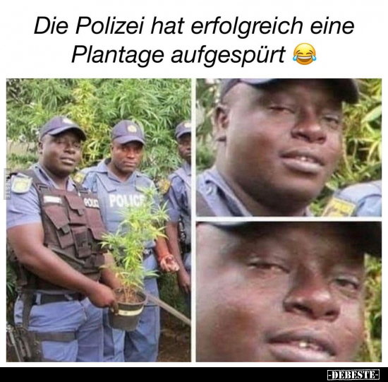 Die Polizei hat erfolgreich eine Plantage aufgespürt.. - Lustige Bilder | DEBESTE.de