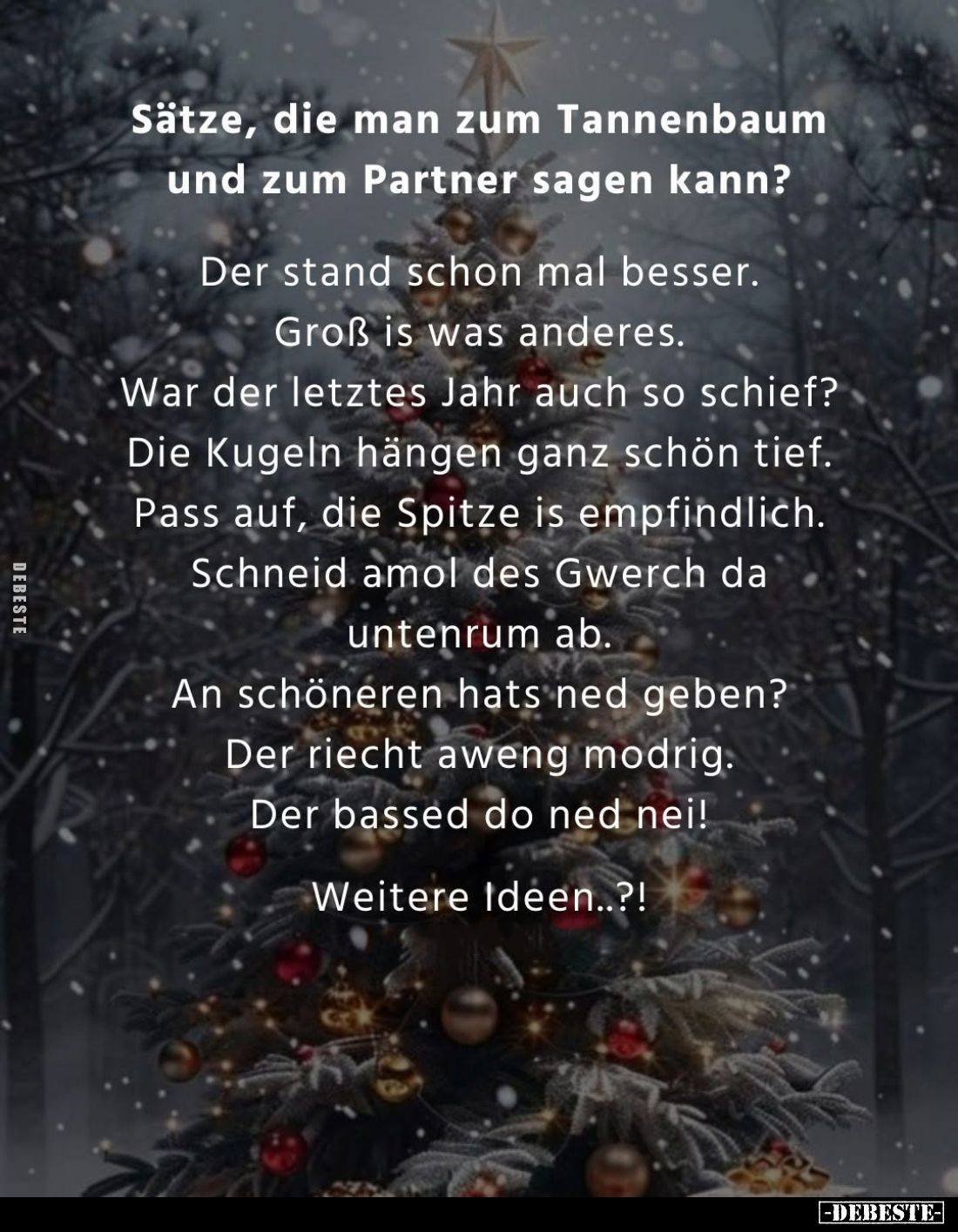Sätze, die man zum Tannenbaum und zum Partner sagen kann?
Der stand schon mal besser.
Groß is was anderes.
War der letztes...