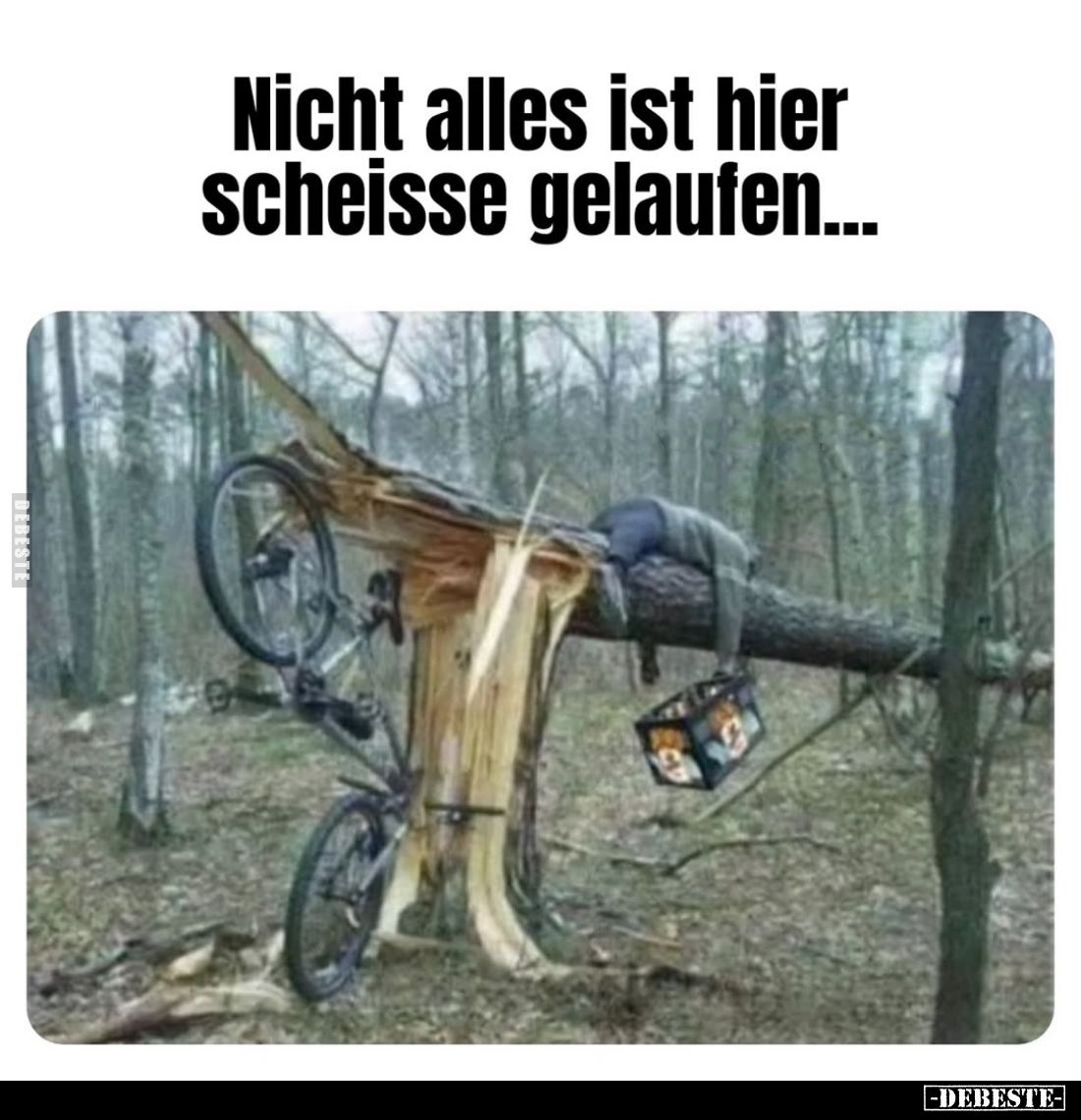 Nicht alles ist hier scheisse gelaufen...