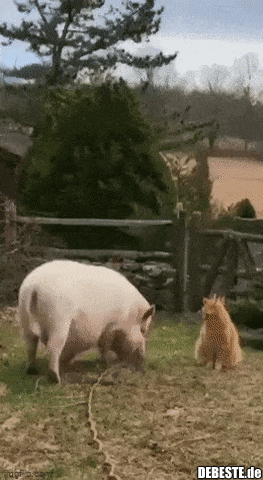 Jetzt stell dich nicht so an..