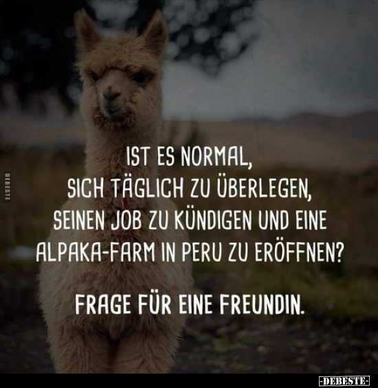 Ist es normal, sich täglich zu überlegen, seinen Job zu..