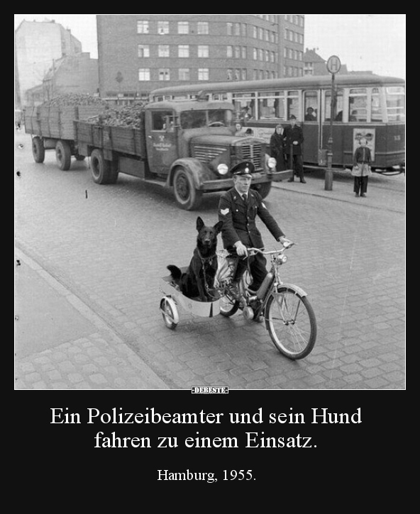 Ein Polizeibeamter und sein Hund fahren zu einem Einsatz... - Lustige Bilder | DEBESTE.de