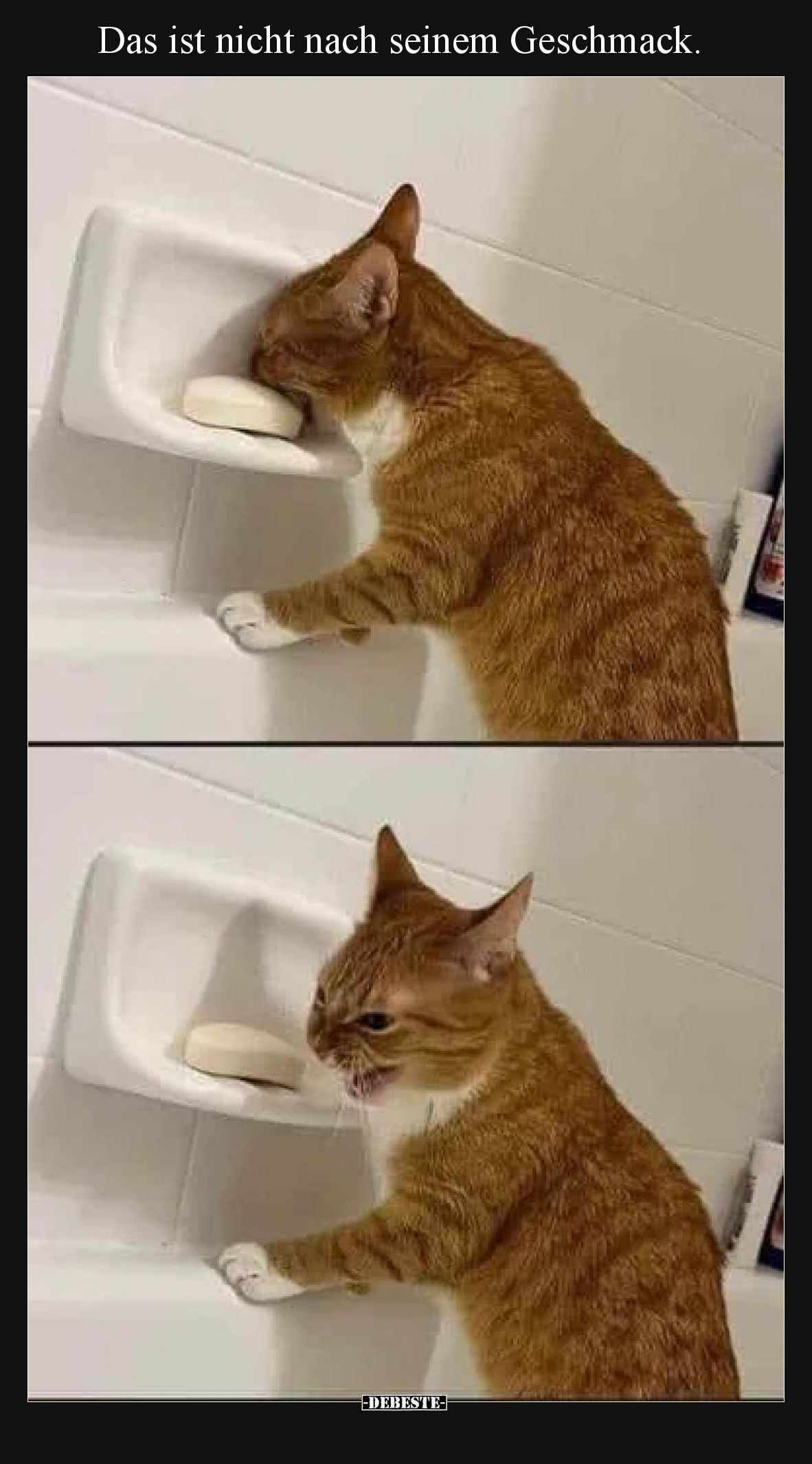 Das ist nicht nach seinem Geschmack.