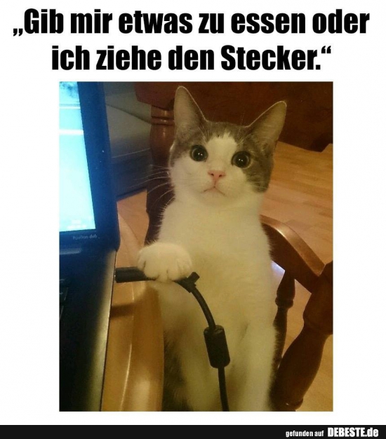 Gib mir etwas zu essen oder ich ziehe den Stecker..