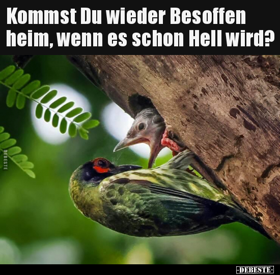 Kommst Du wieder Besoffen heim, wenn es schon Hell.. - Lustige Bilder | DEBESTE.de