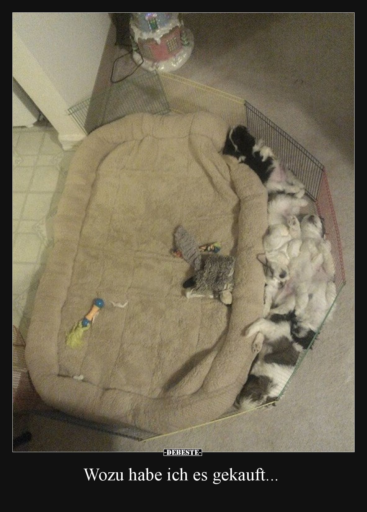 Wozu habe ich es gekauft...