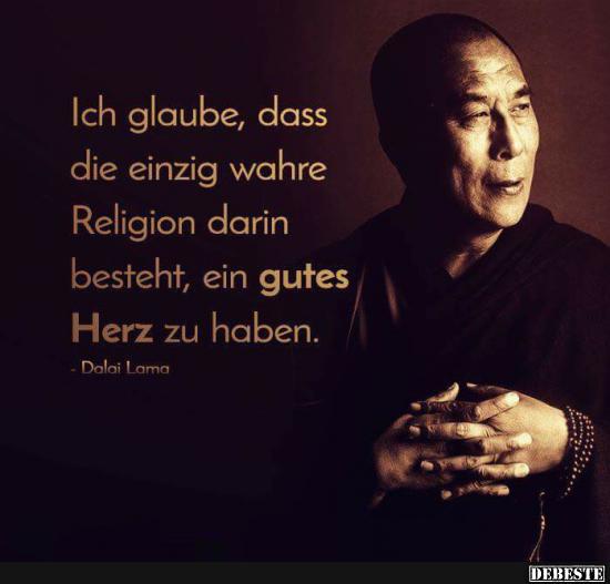 Ich Glaube Dass Die Einzig Wahre Religion Darin Besteht Lustige Bilder Spruche Witze Echt Lustig