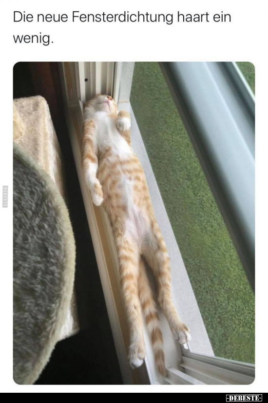 Die neue Fensterdichtung haart ein wenig...