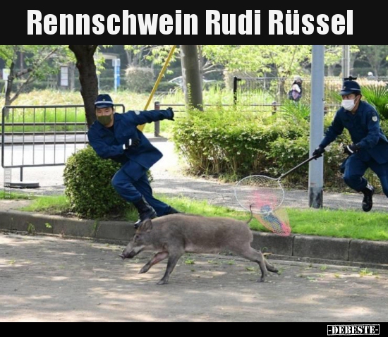 Rennschwein Rudi Rüssel..