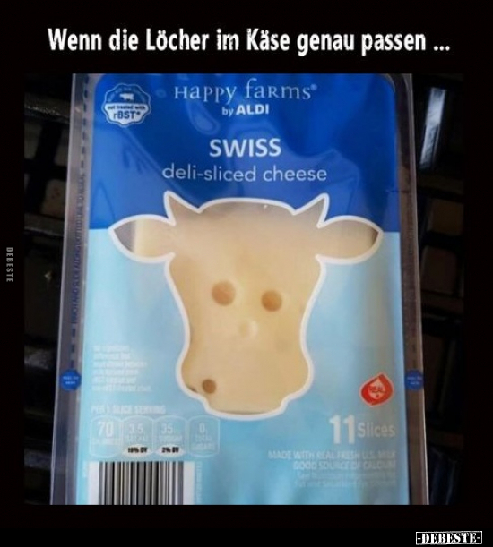 Wenn die Löcher im Käse genau passen... - Lustige Bilder | DEBESTE.de