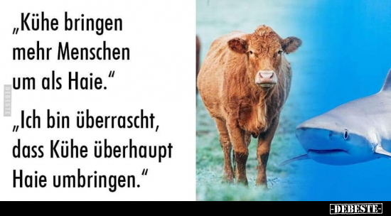 "Kühe bringen mehr Menschen um als Haie.".. - Lustige Bilder | DEBESTE.de