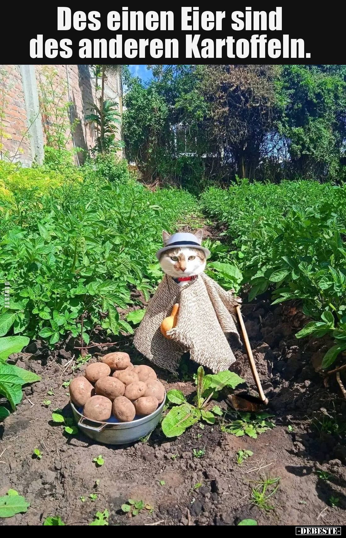 Des einen Eier sind des anderen Kartoffeln... - Lustige Bilder | DEBESTE.de