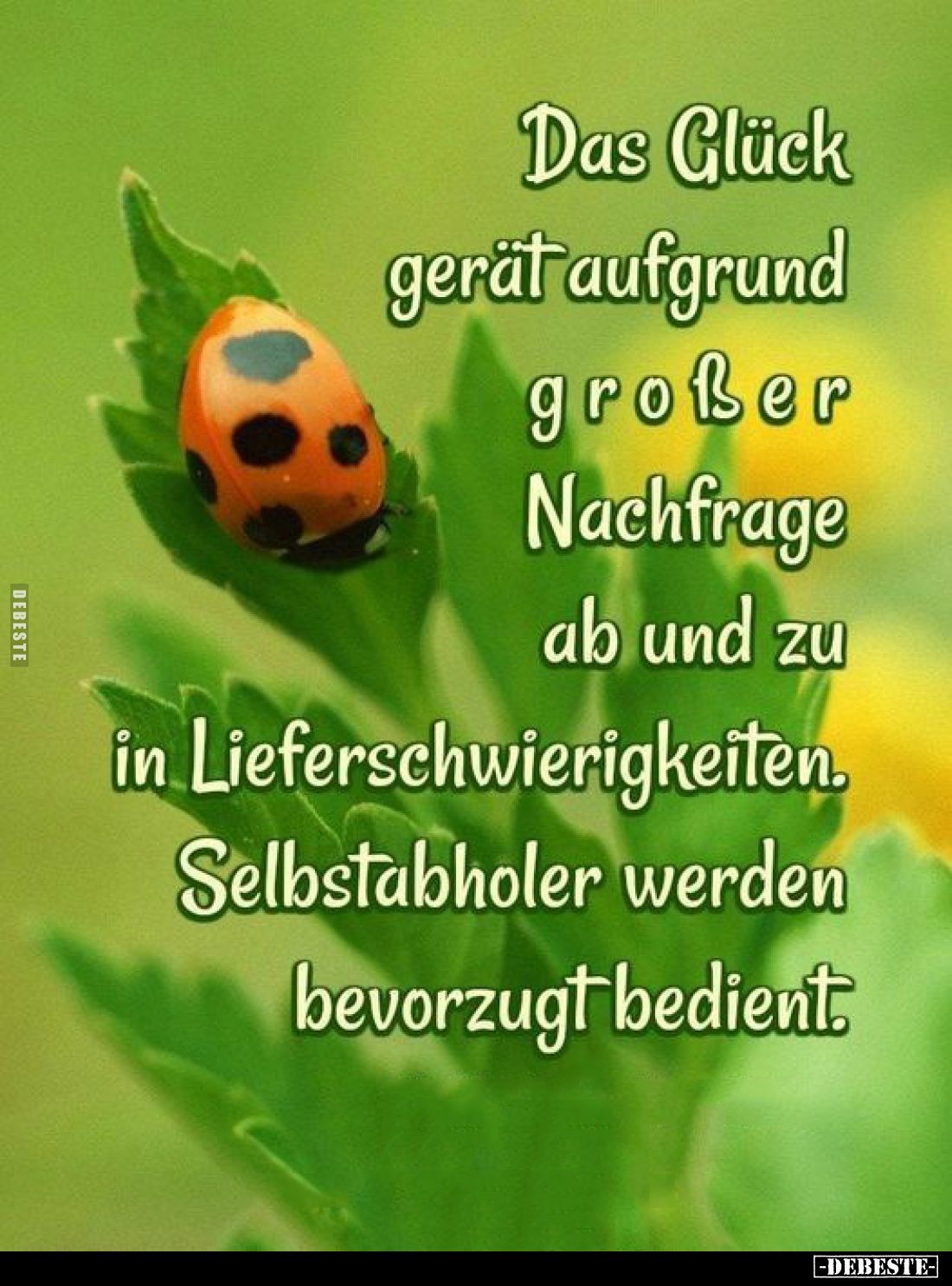 Glück gerät aufgrund großer Nachfrage ab und zu in Lieferschwierigkeiten.
Selbstabholer werden bevorzugt bedient.