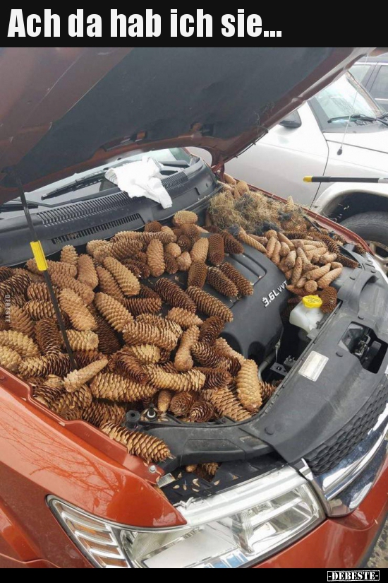 Ach da hab ich sie...