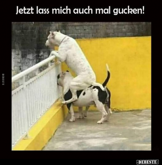 Jetzt lass mich auch mal gucken!