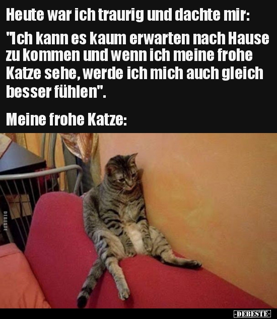 Heute war ich traurig und dachte mir: "Ich kann es kaum.."
