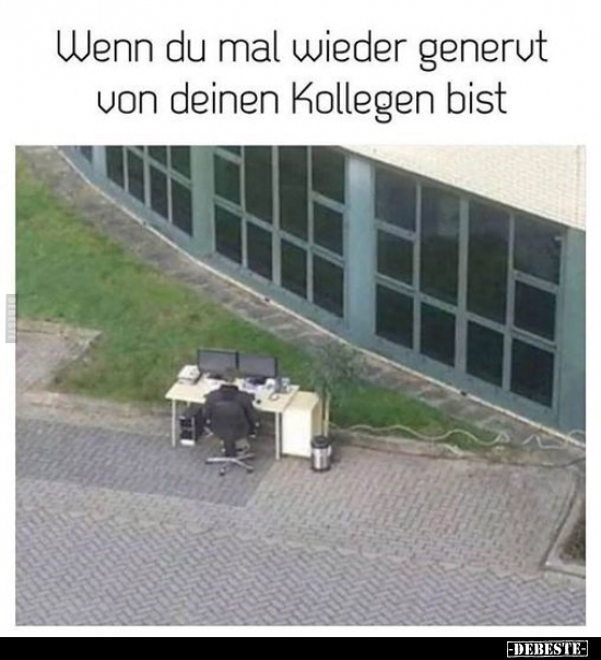 Wenn du mal wieder genervt von deinen Kollegen bist.. - Lustige Bilder | DEBESTE.de