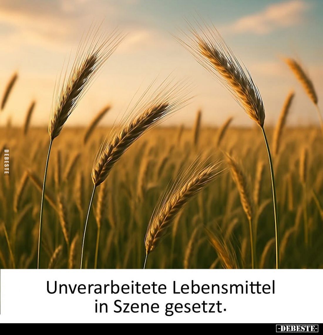 Unverarbeitete Lebensmittel in Szene gesetzt.