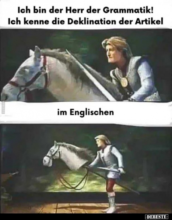 Ich bin der Herr der Grammatik! Ich kenne die Deklination..