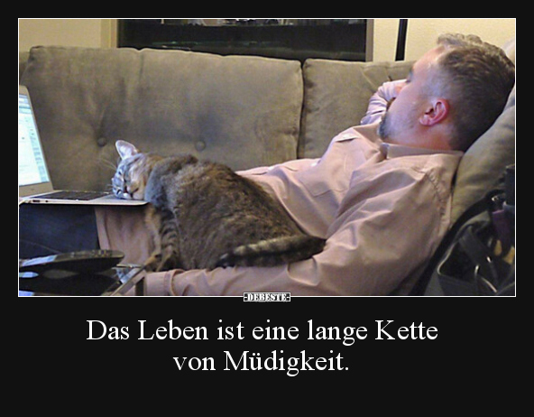 Das Leben ist eine lange Kette von Müdigkeit...