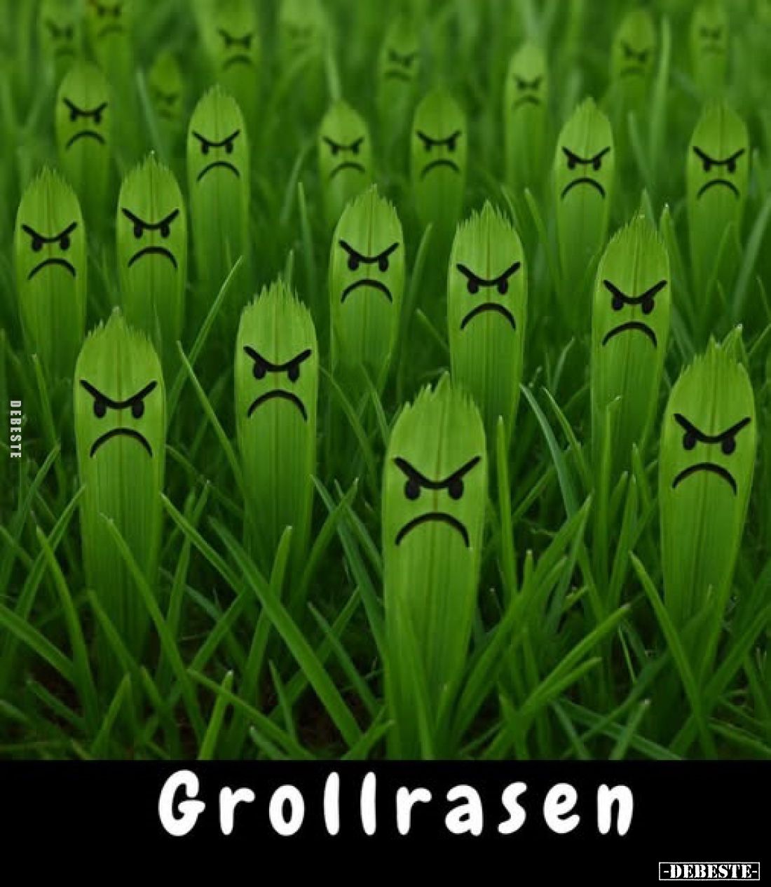 Grollrasen.