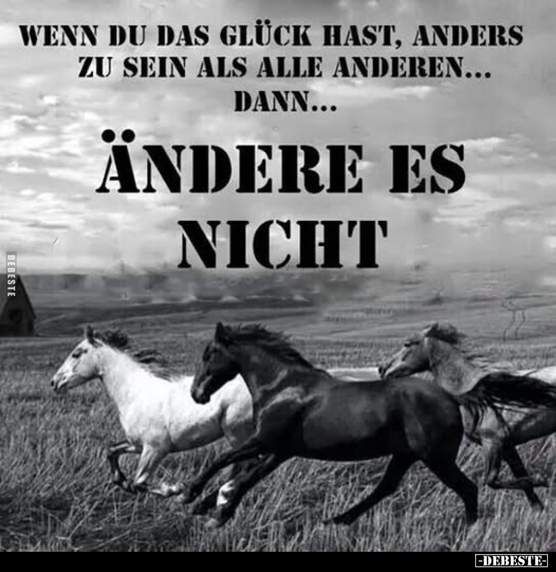 Wenn du das Glück hast, anders zu sein als alle anderen... - Lustige Bilder | DEBESTE.de