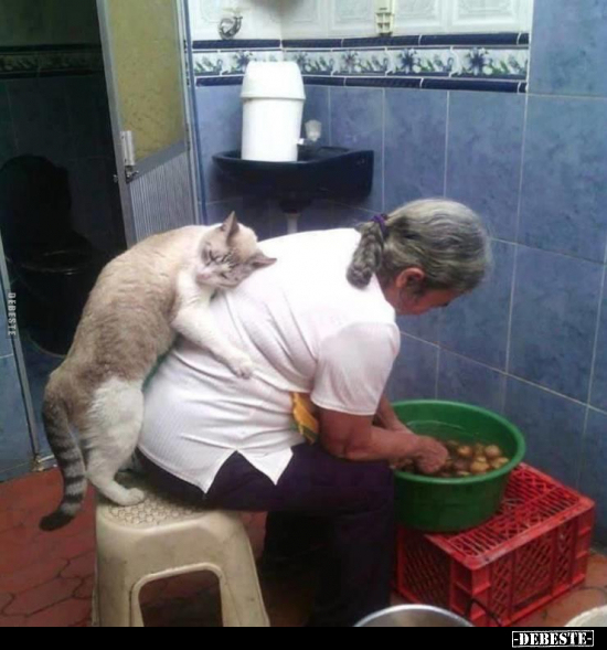  - Lustige Bilder | DEBESTE.de