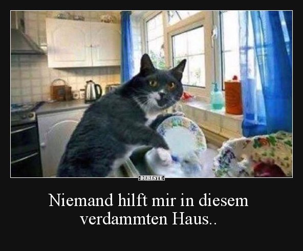 Niemand hilft mir in diesem verdammten Haus..